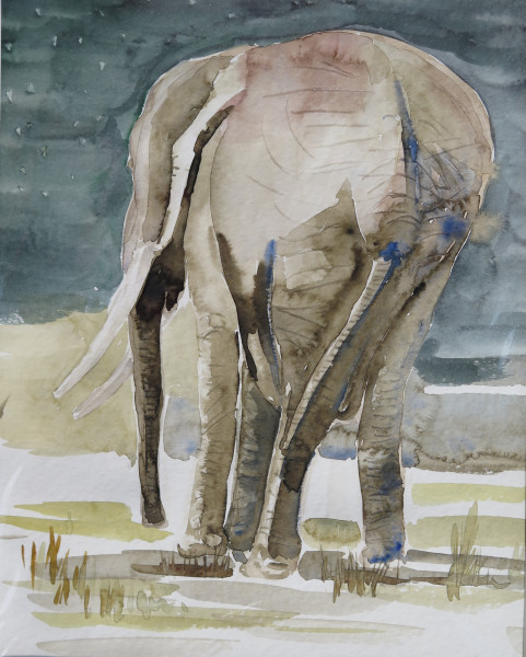 Elephant bei Nacht