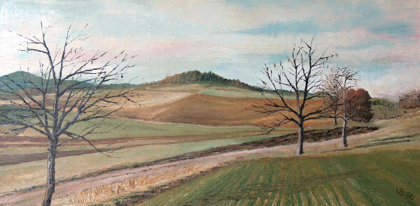 Vorderfeld